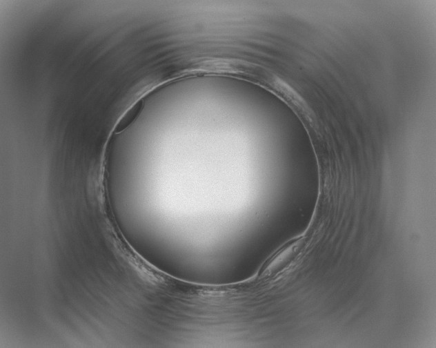X0000073511378200608140923