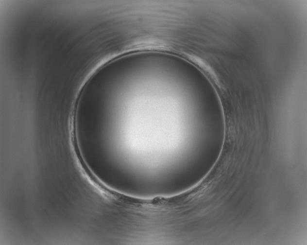 X0000073511383200608140923