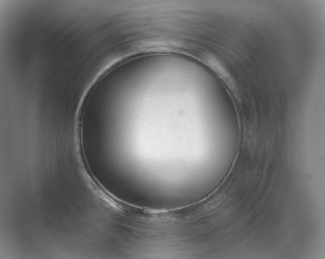 X0000073511384200608140923