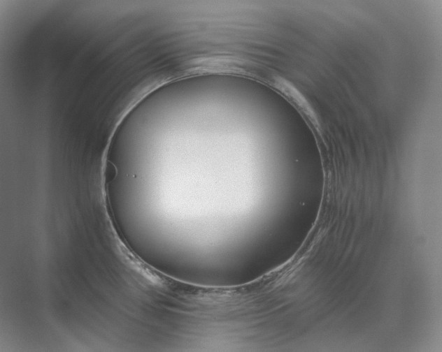 X0000073511386200608140923