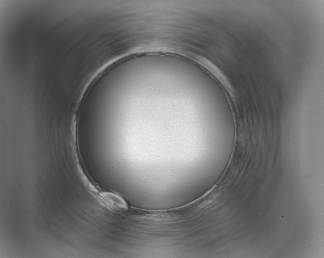 X0000073511388200608140923