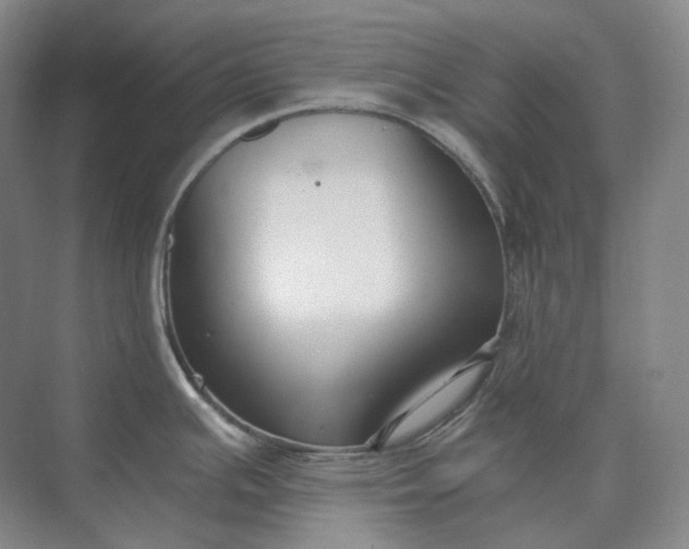 X0000073511391200608140923