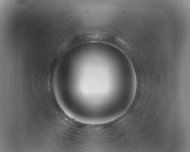 X0000073511394200608140922