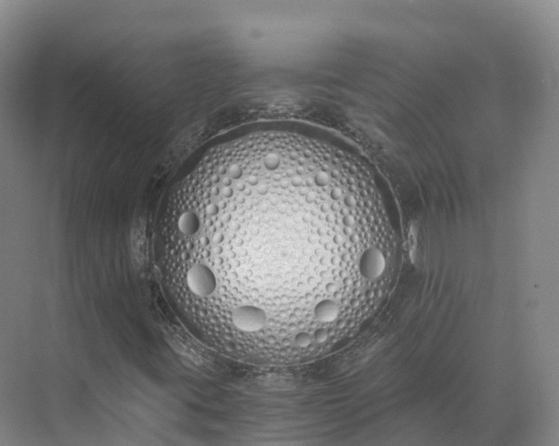 X0000073511395200608140922