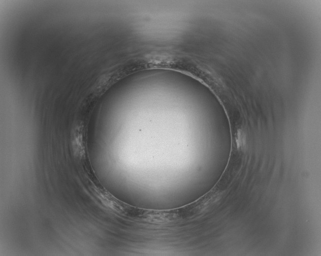 X0000073511396200608140922