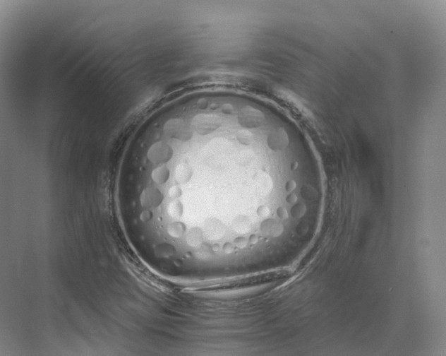 X0000073511403200608140922