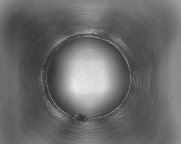 X0000073511404200608140922