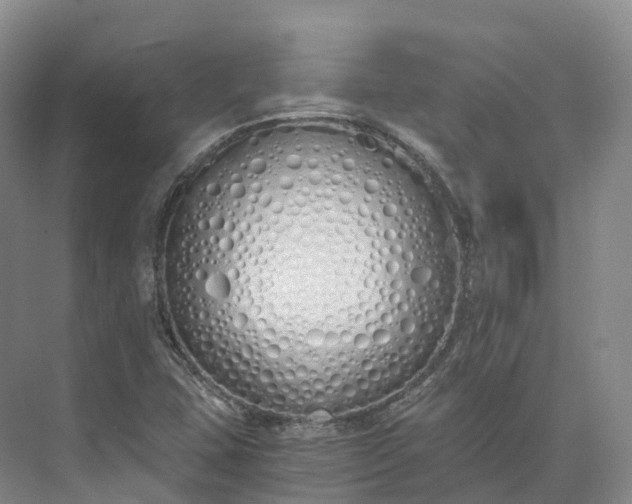 X0000073511407200608140922