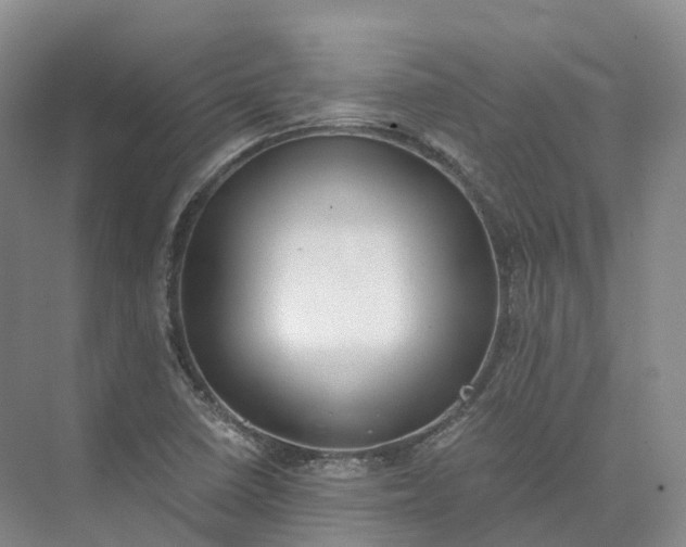 X0000073511410200608140922