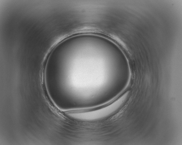 X0000073511413200608140922