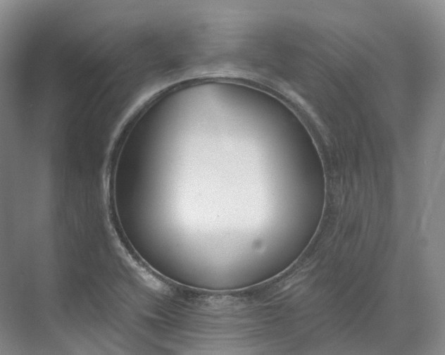 X0000073511416200608140922