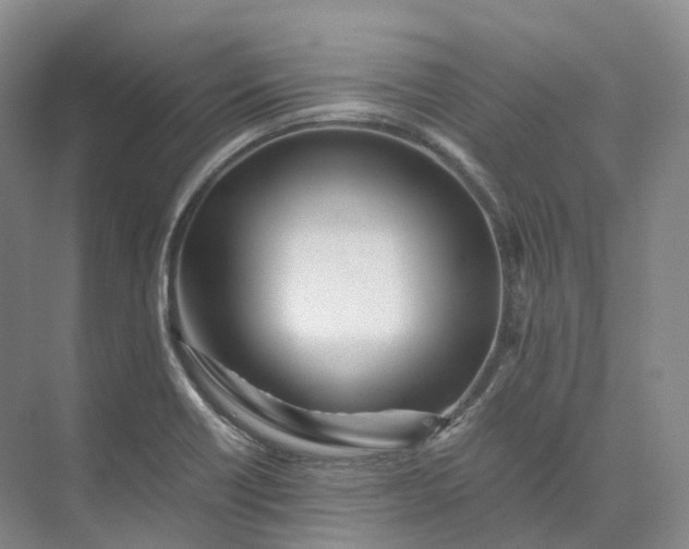 X0000073511418200608140922