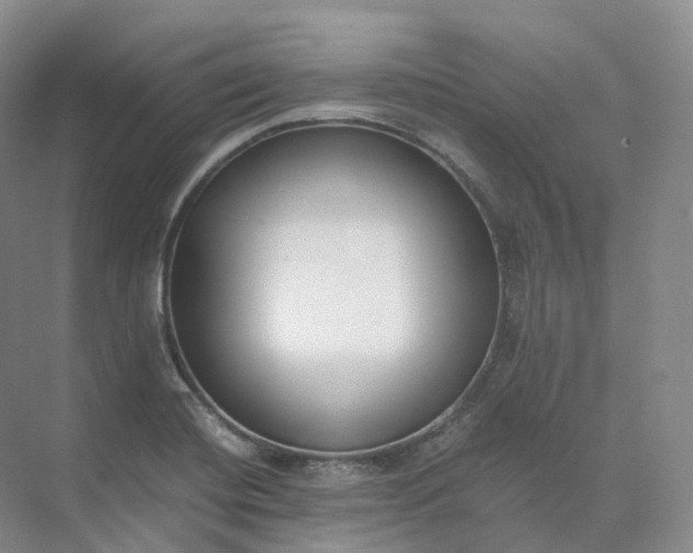 X0000073511420200608140922