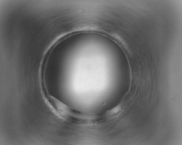 X0000073511422200608140922