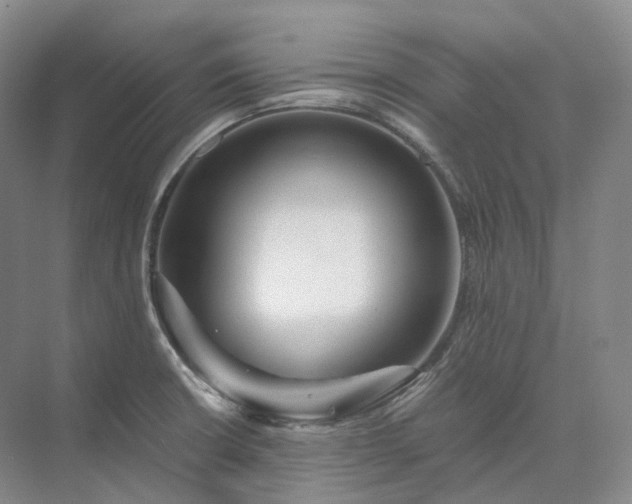 X0000073511426200608140922