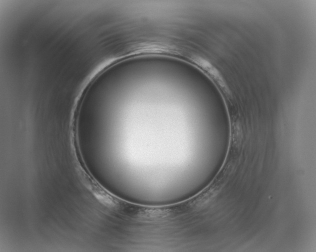 X0000073511427200608140922