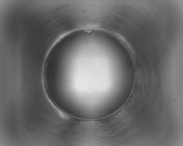 X0000073511432200608140922