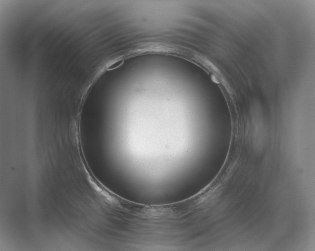 X0000073511433200608140922
