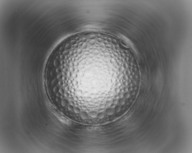 X0000073511435200608140923