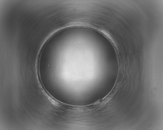 X0000073511438200608140923