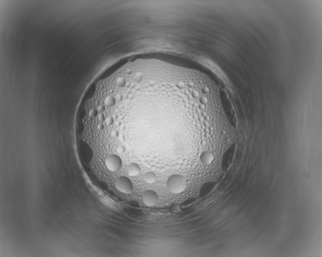 X0000073511439200608140923