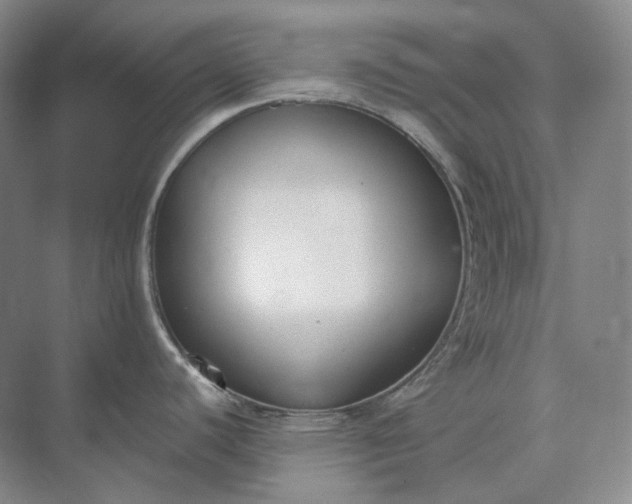 X0000073511440200608140923