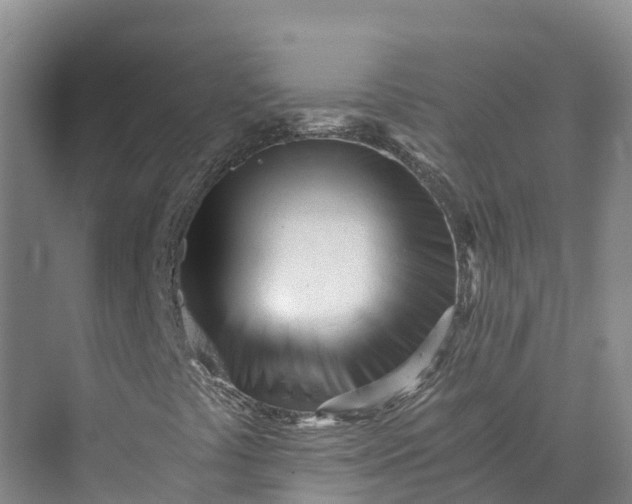 X0000073511441200608140922