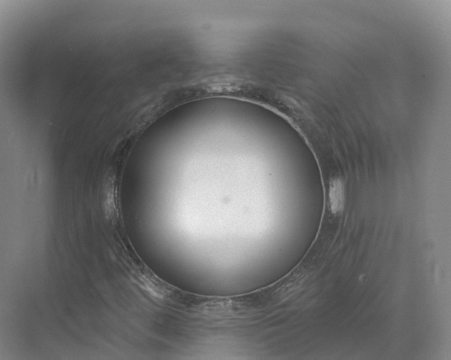 X0000073511444200608140922