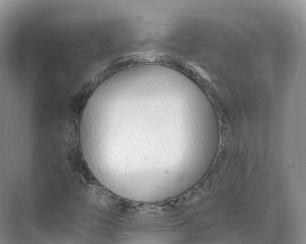 X0000073511446200608140922