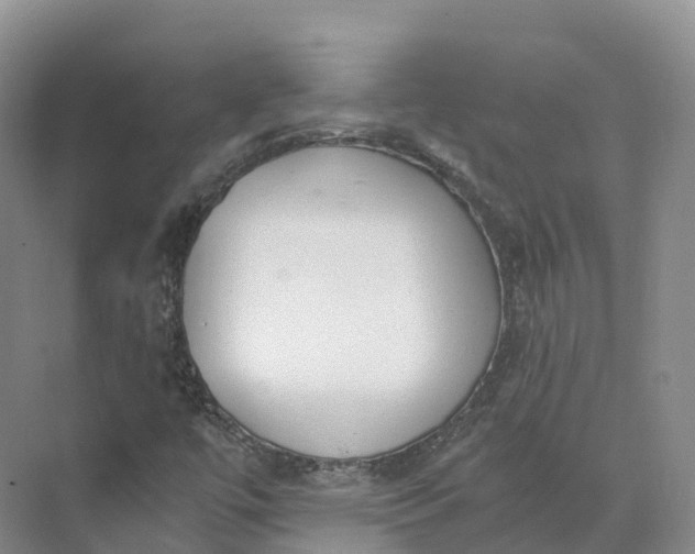 X0000073511447200608140922