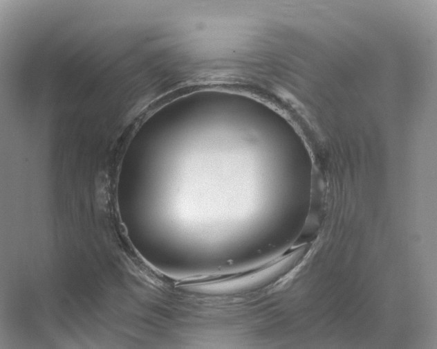 X0000073511449200608140922
