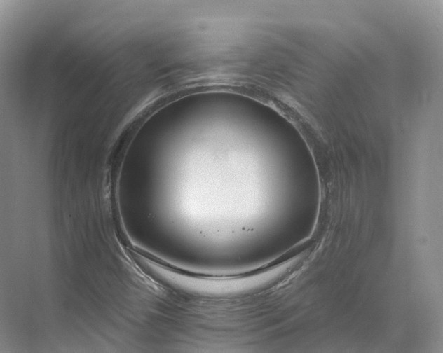 X0000073511450200608140922