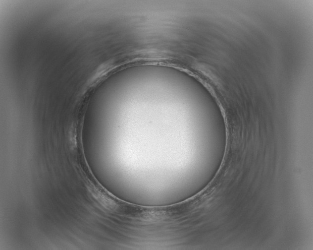 X0000073511451200608140922