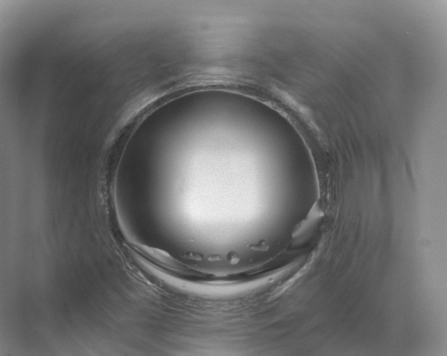 X0000073511453200608140922