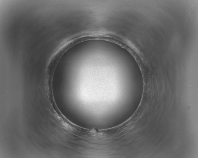 X0000073511456200608140922