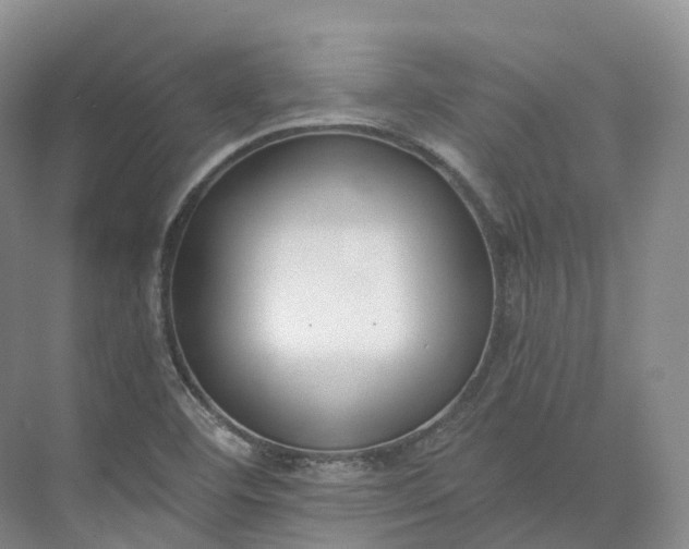 X0000073511460200608140921