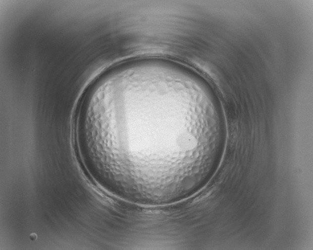 X0000073511467200608140921