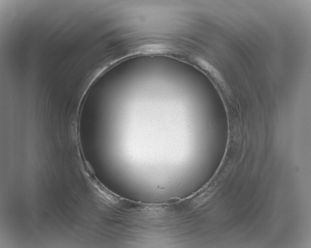 X0000073511473200608140921