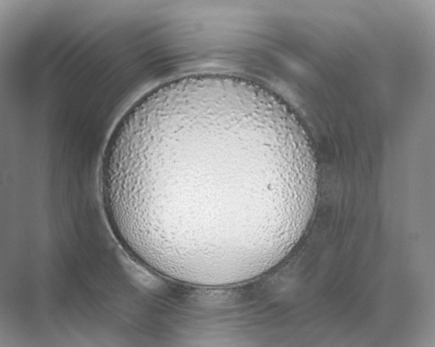 X0000073511474200608140921