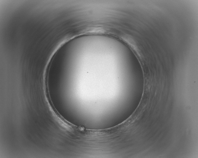 X0000073511475200608140921