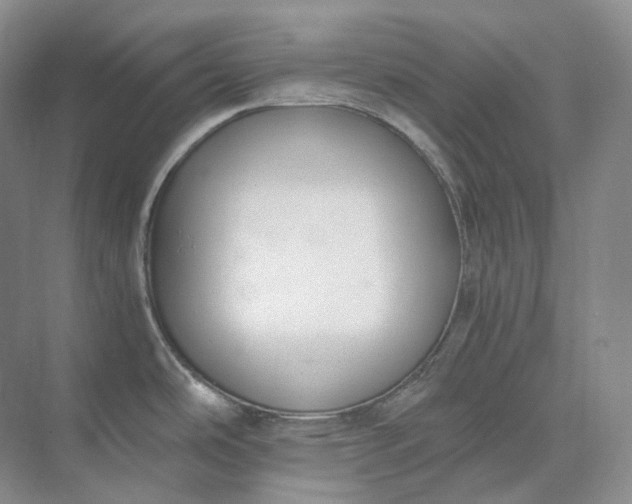 X0000073511486200608140921