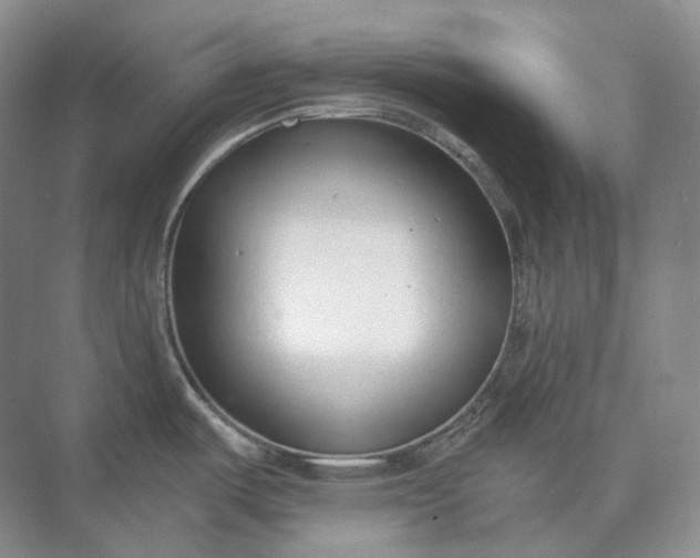 X0000073511487200608140921