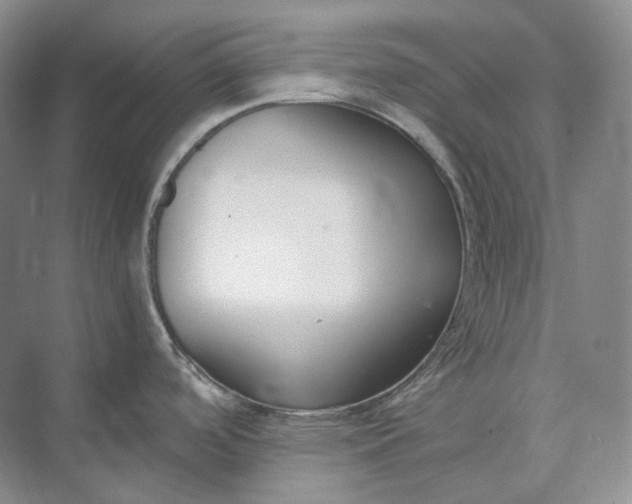 X0000073511488200608140921