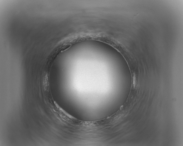 X0000073511492200608140920