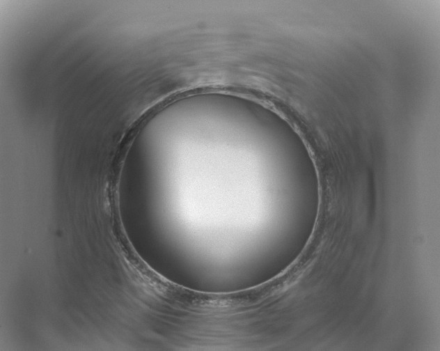 X0000073511497200608140920