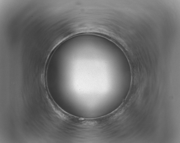 X0000073511513200608140921