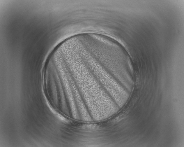 X0000073511515200608140921