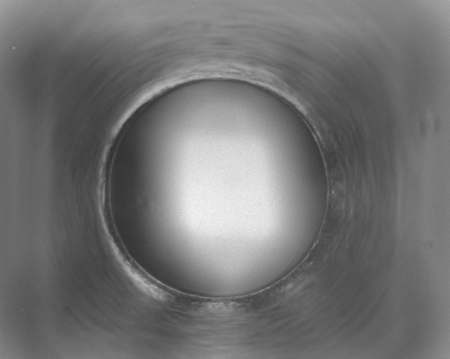 X0000073511523200608140921