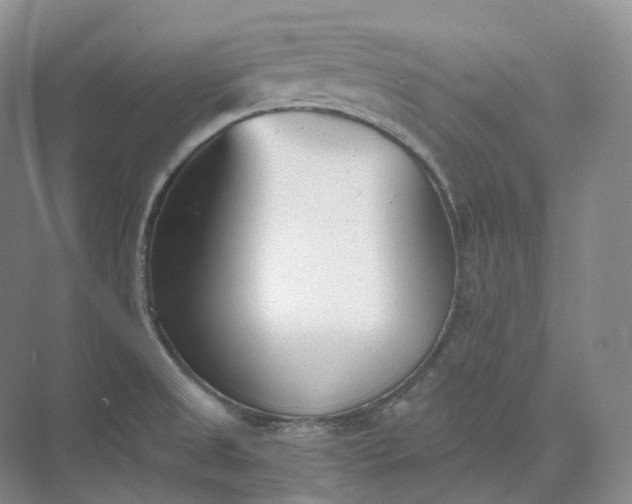 X0000073511525200608140921