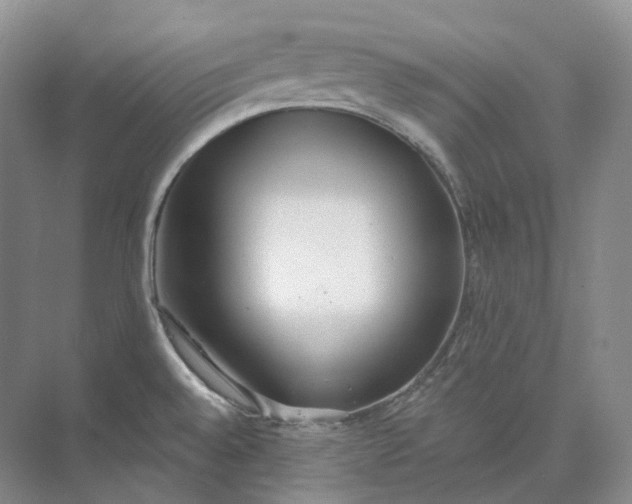 X0000073511528200608140921